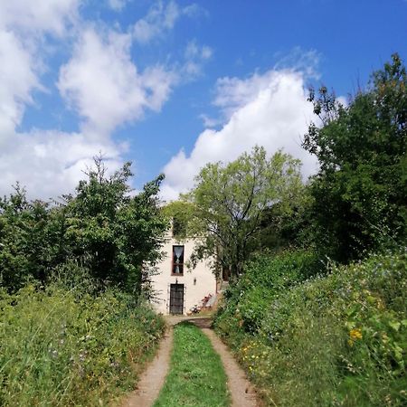 La Peonia Casa Vacanze In Montagna Prato Verde Panorama Stupendo Sardegna Seùlo Dış mekan fotoğraf
