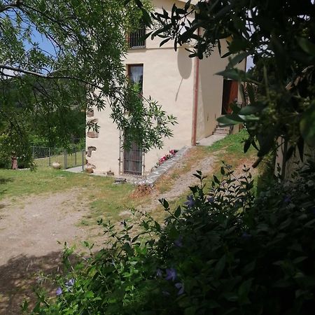 La Peonia Casa Vacanze In Montagna Prato Verde Panorama Stupendo Sardegna Seùlo Dış mekan fotoğraf