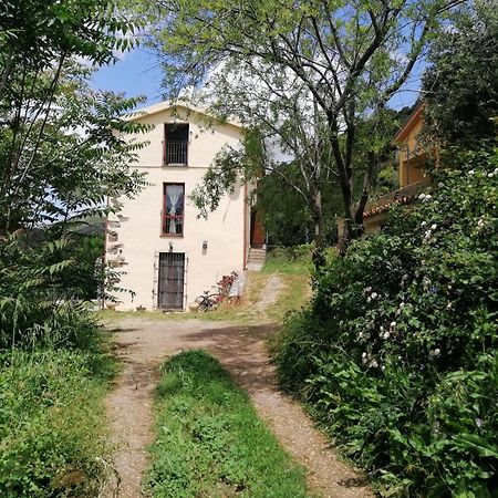La Peonia Casa Vacanze In Montagna Prato Verde Panorama Stupendo Sardegna Seùlo Dış mekan fotoğraf