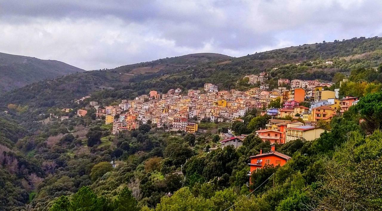 La Peonia Casa Vacanze In Montagna Prato Verde Panorama Stupendo Sardegna Seùlo Dış mekan fotoğraf
