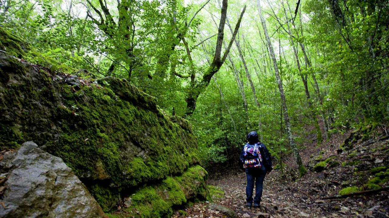 La Peonia Casa Vacanze In Montagna Prato Verde Panorama Stupendo Sardegna Seùlo Dış mekan fotoğraf