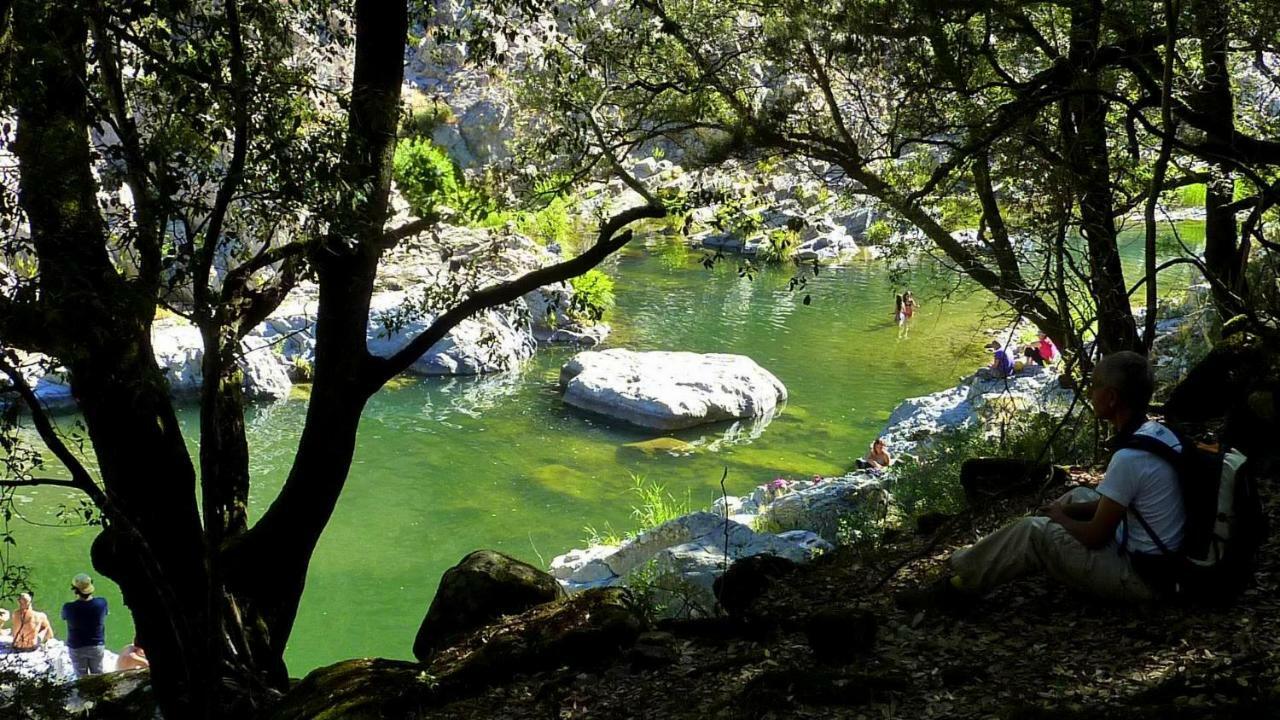 La Peonia Casa Vacanze In Montagna Prato Verde Panorama Stupendo Sardegna Seùlo Dış mekan fotoğraf