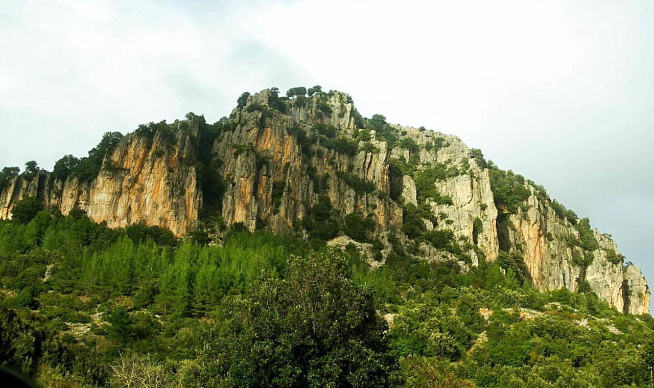 La Peonia Casa Vacanze In Montagna Prato Verde Panorama Stupendo Sardegna Seùlo Dış mekan fotoğraf