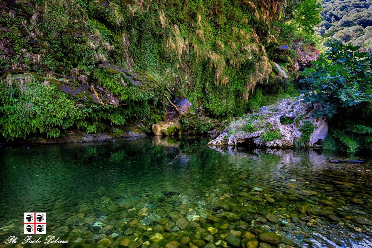 La Peonia Casa Vacanze In Montagna Prato Verde Panorama Stupendo Sardegna Seùlo Dış mekan fotoğraf